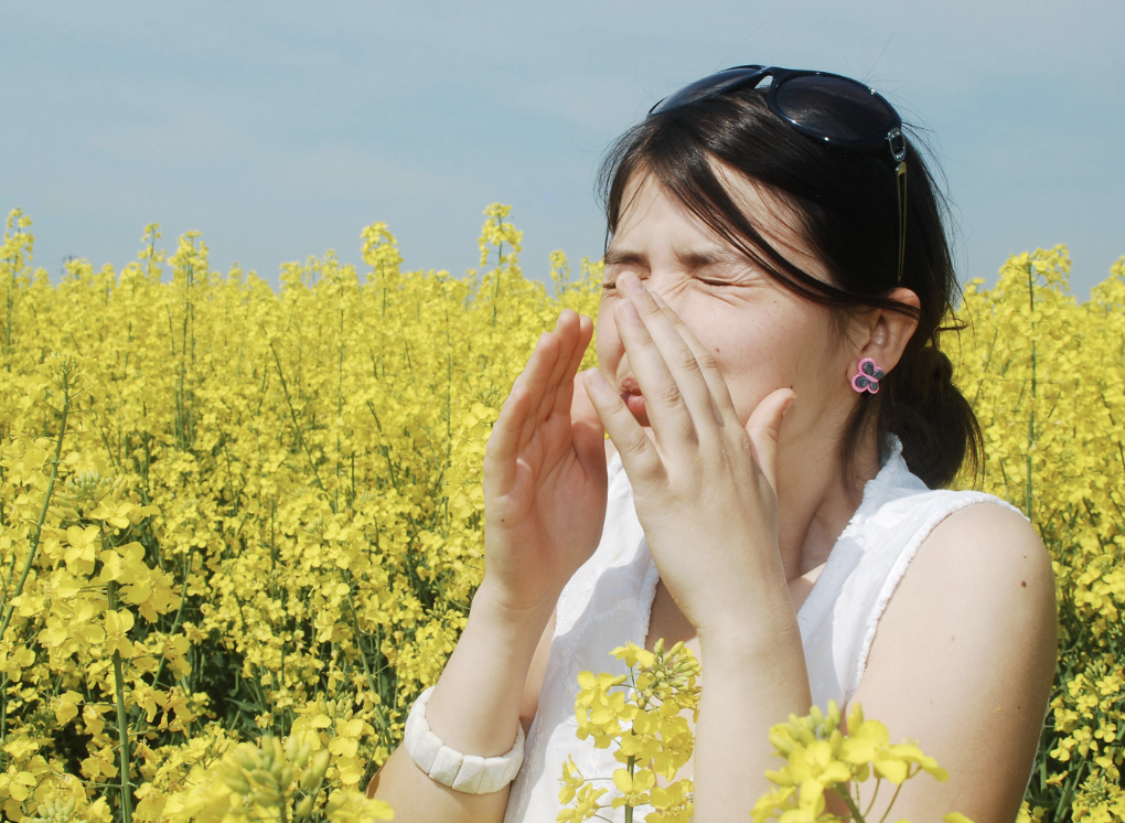 Hay Fever Season Is Coming: How Your Pharmacy Can Help