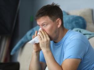 Sinusitis service picture